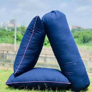 ২টি শিমুল তুলার বালিশ